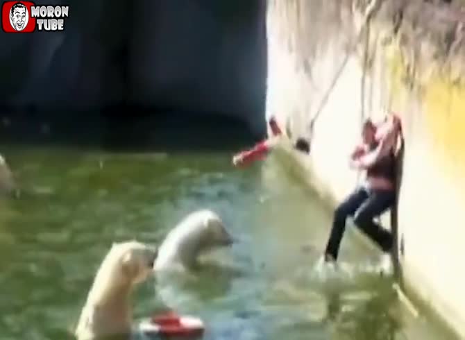 Video :She jumped into the bear pool, but why